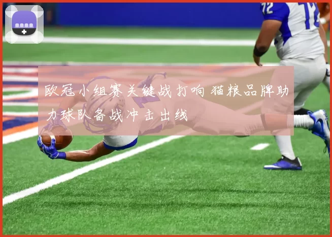 欧冠小组赛关键战打响 猫粮品牌助力球队备战冲击出线