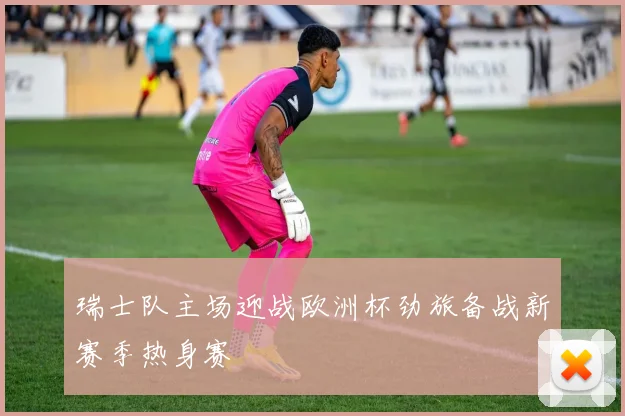 瑞士队主场迎战欧洲杯劲旅备战新赛季热身赛