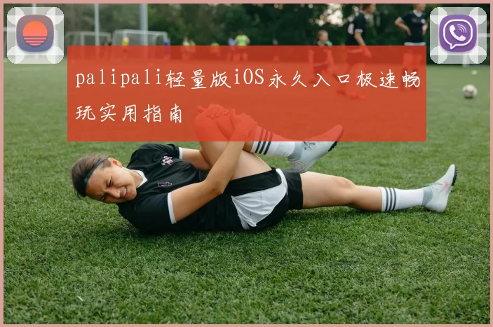 palipali轻量版iOS永久入口极速畅玩实用指南