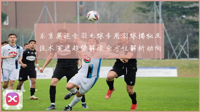 东京奥运会羽毛球专用羽球揭秘及技术演进趋势解读全方位解析动向